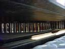 DSC04048.JPG
